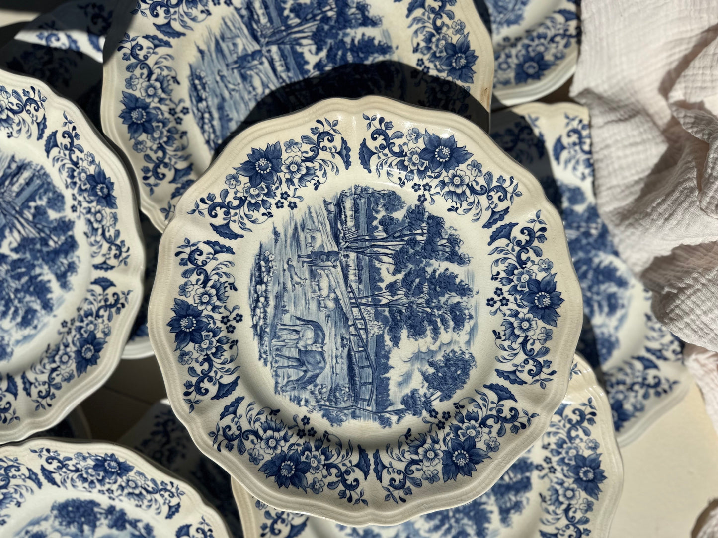 Ensemble de 10 assiettes plates Derby Sarreguemines De Raymonde à Zoé