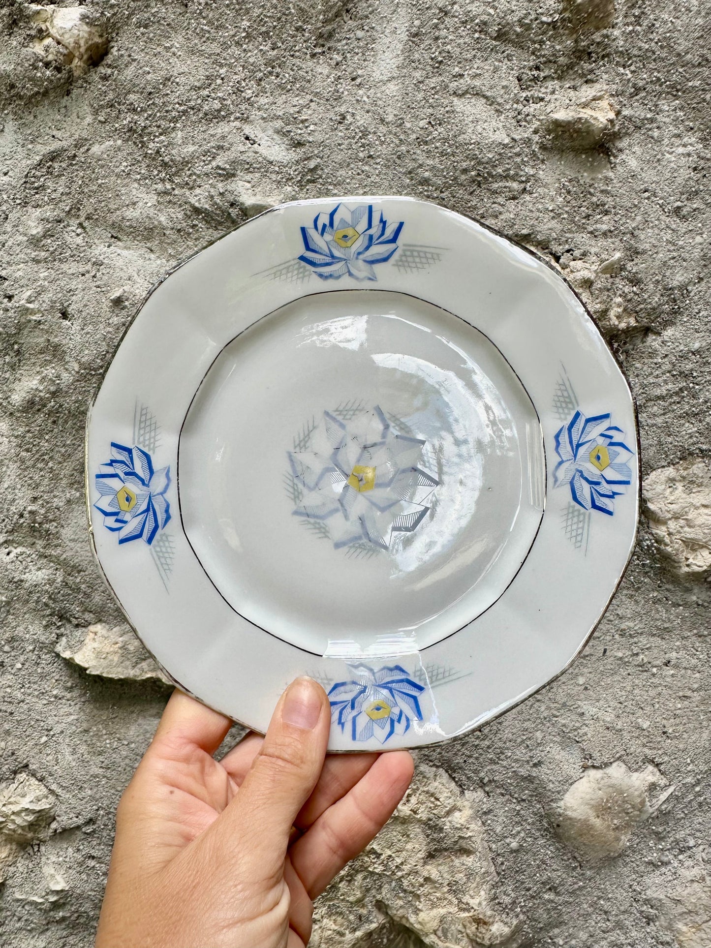 7 assiettes à dessert en porcelaine de Limoges De Raymonde à Zoé