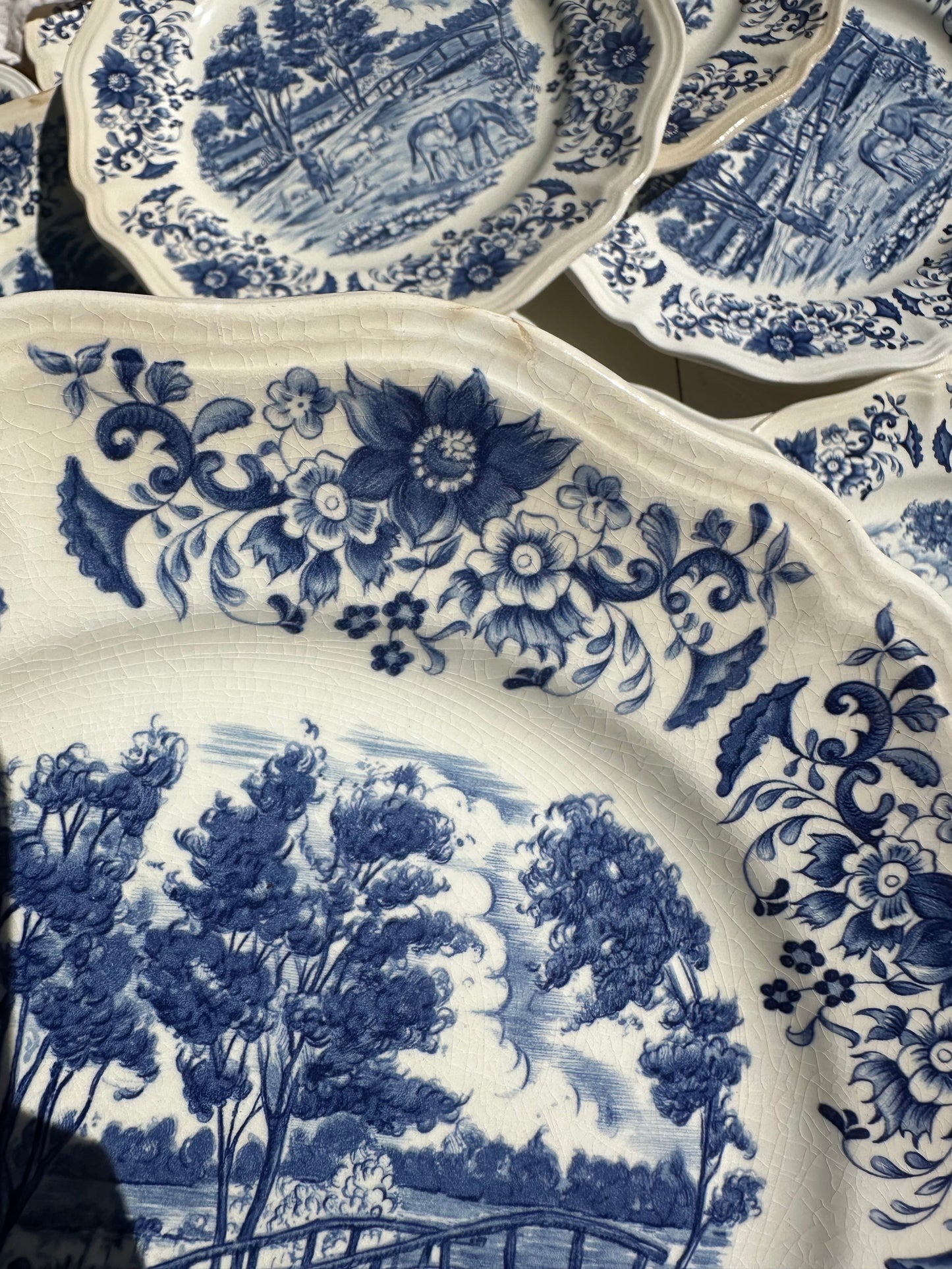 Ensemble de 10 assiettes plates Derby Sarreguemines De Raymonde à Zoé