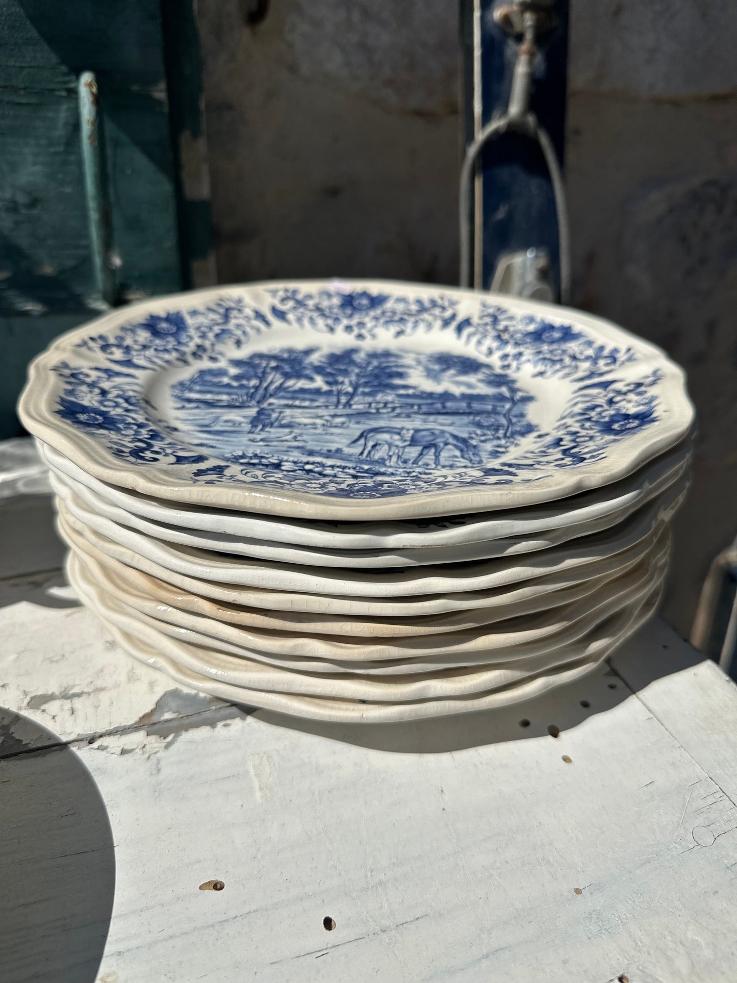 Ensemble de 10 assiettes plates Derby Sarreguemines De Raymonde à Zoé