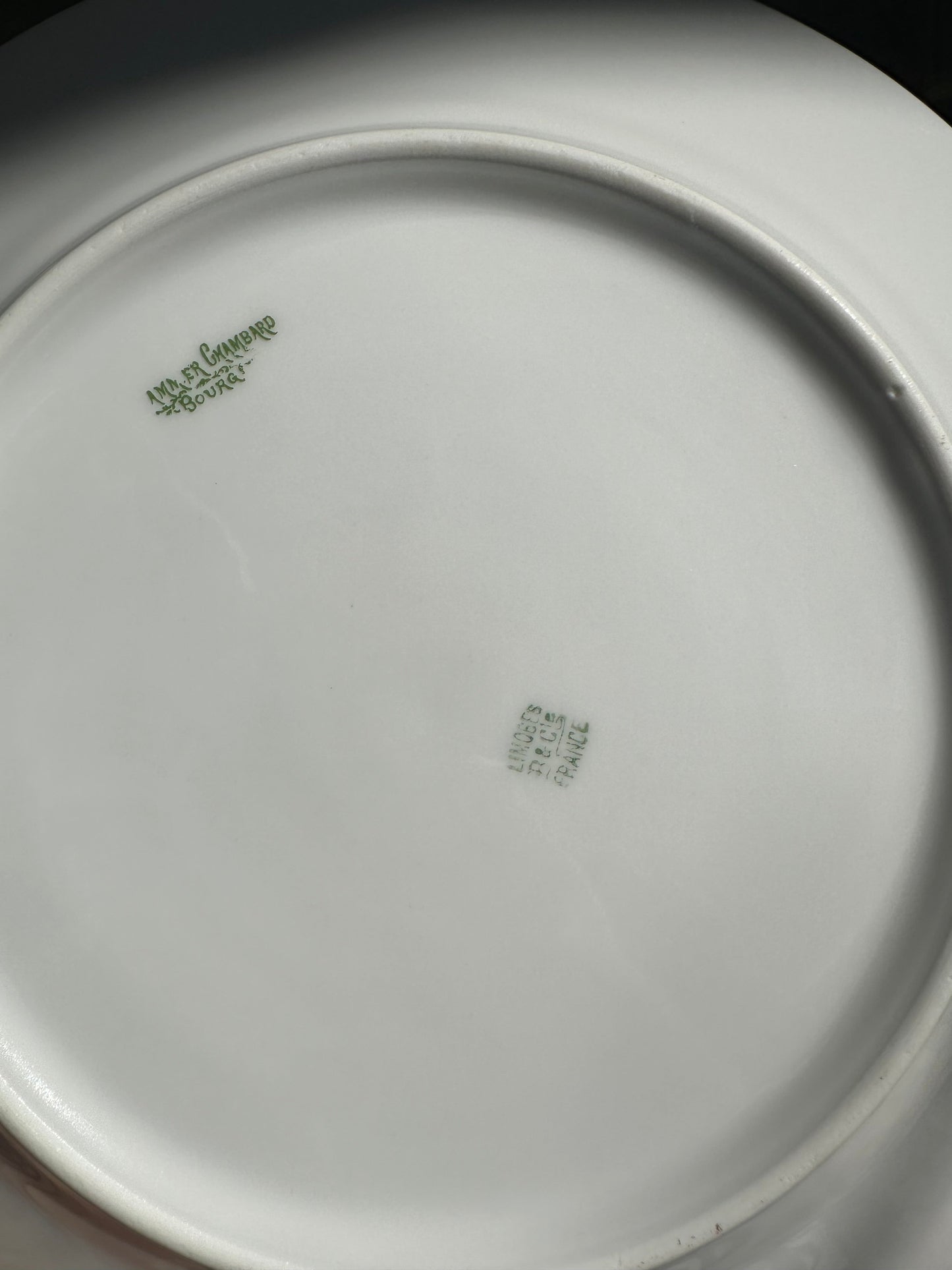 8 grandes assiettes plates en porcelaine de Limoges De Raymonde à Zoé