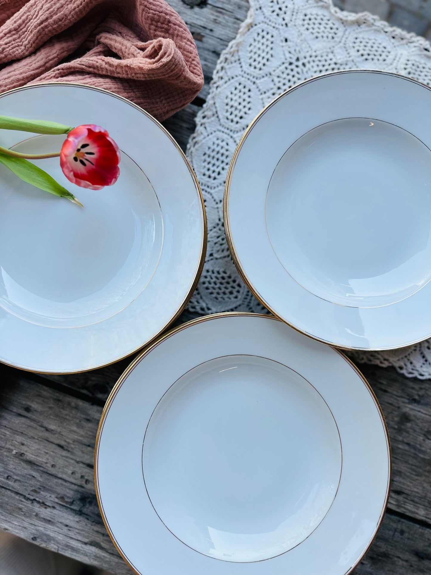 9 Assiettes creuse en porcelaine De Raymonde à Zoé