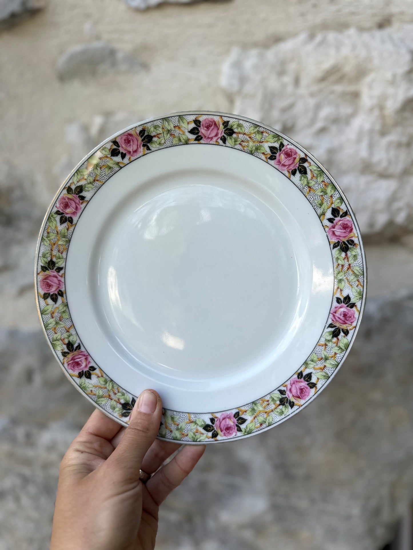 Ensemble de 6 assiettes plates en porcelaine fleurie De Raymonde à Zoé