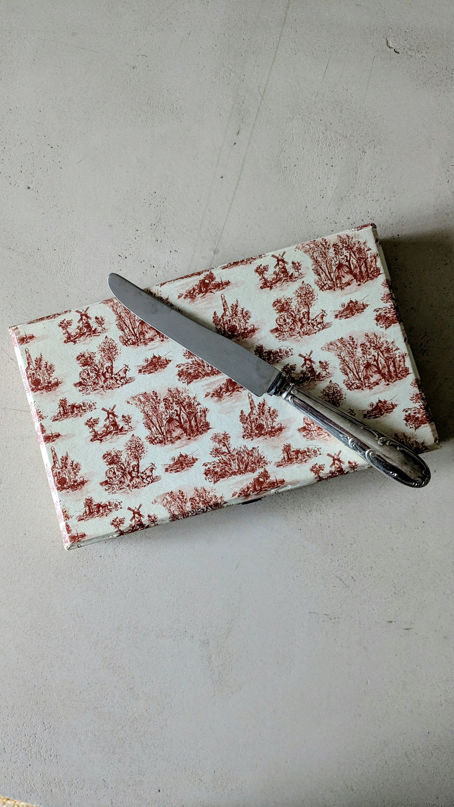 Ensemble de 12 couteaux en métal argenté De Raymonde à Zoé