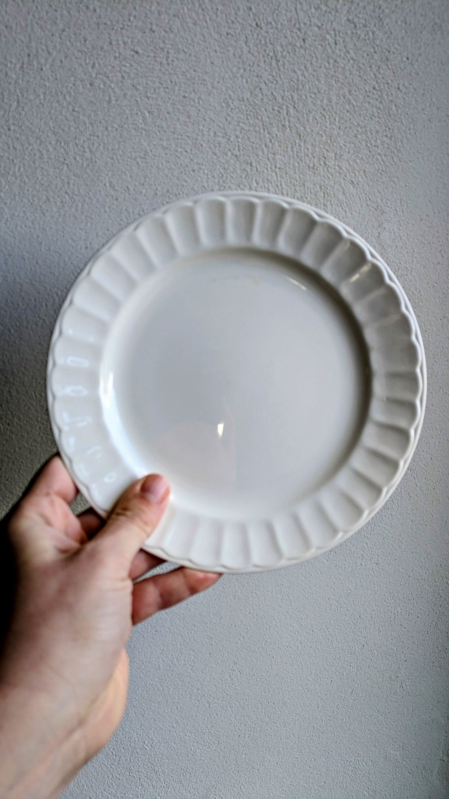 10 assiettes à dessert De Raymonde à Zoé