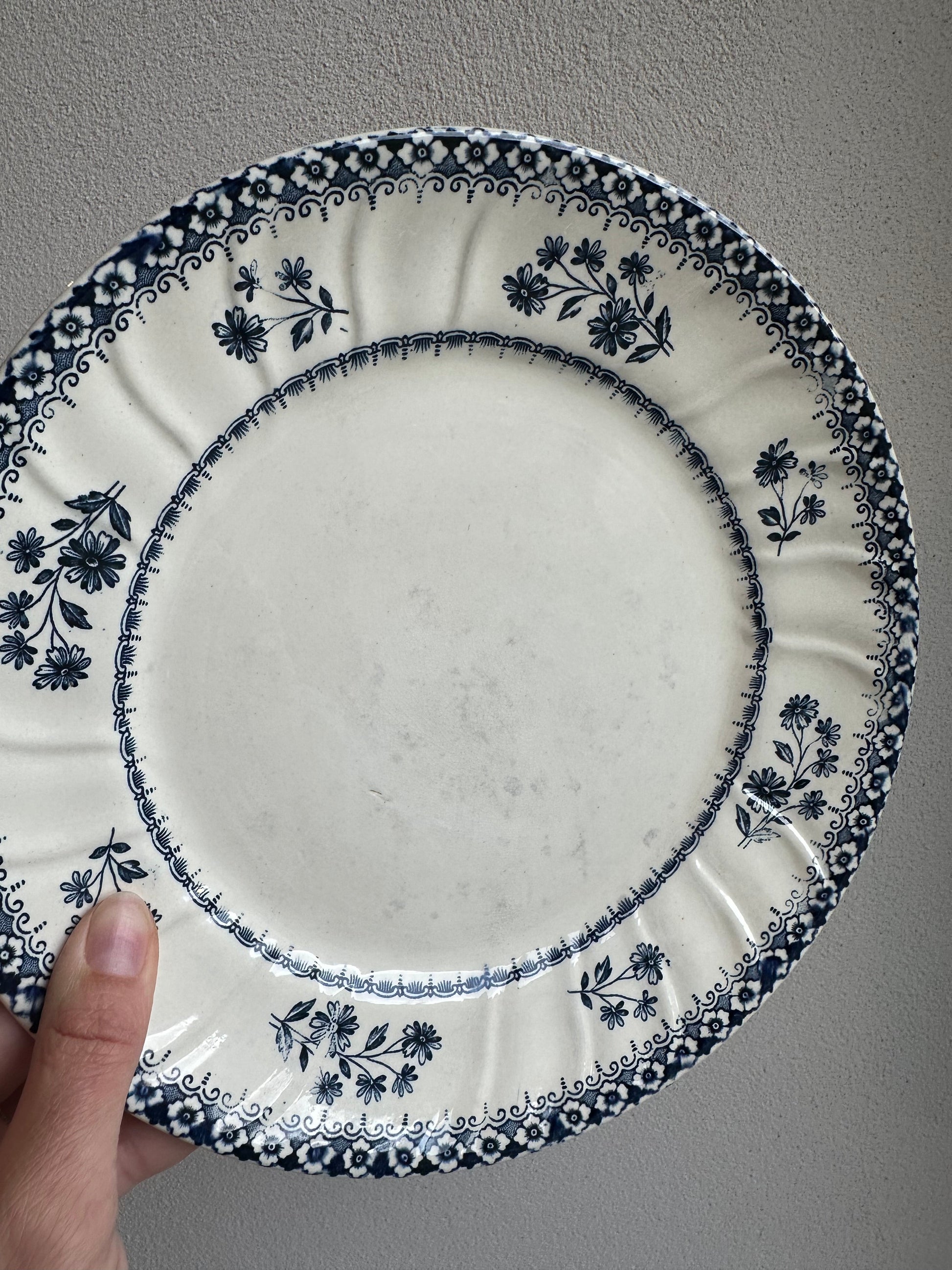 11 Assiettes plate terre de fer De Raymonde à Zoé