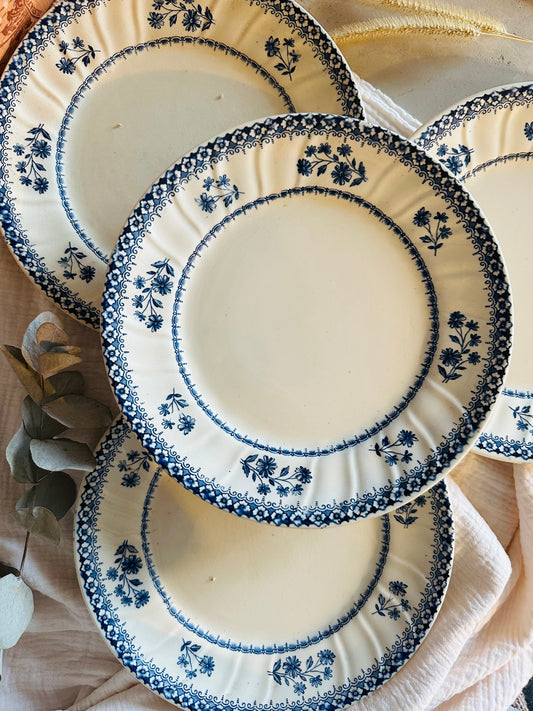 11 Assiettes plate terre de fer De Raymonde à Zoé