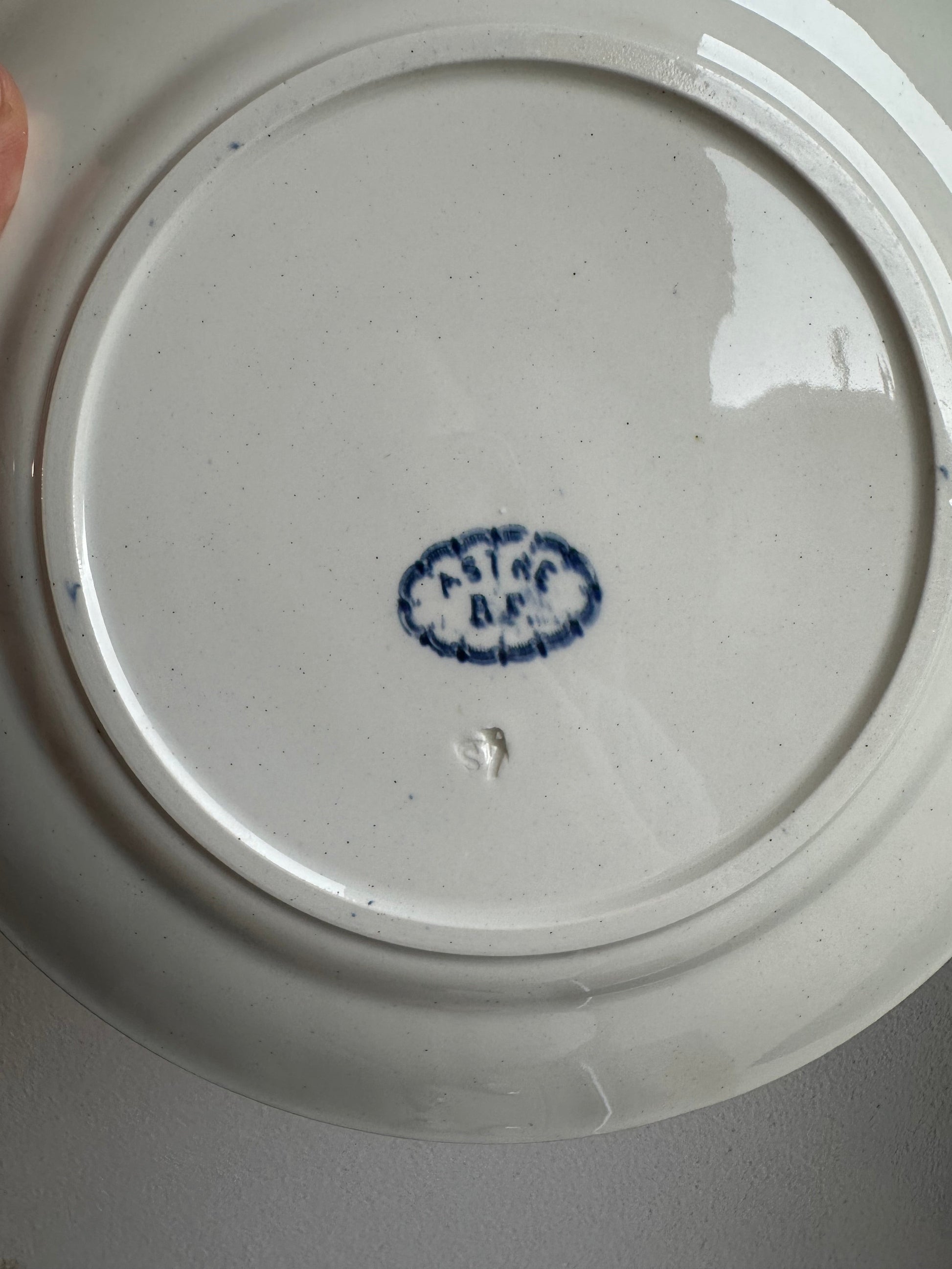 11 Assiettes plate terre de fer De Raymonde à Zoé