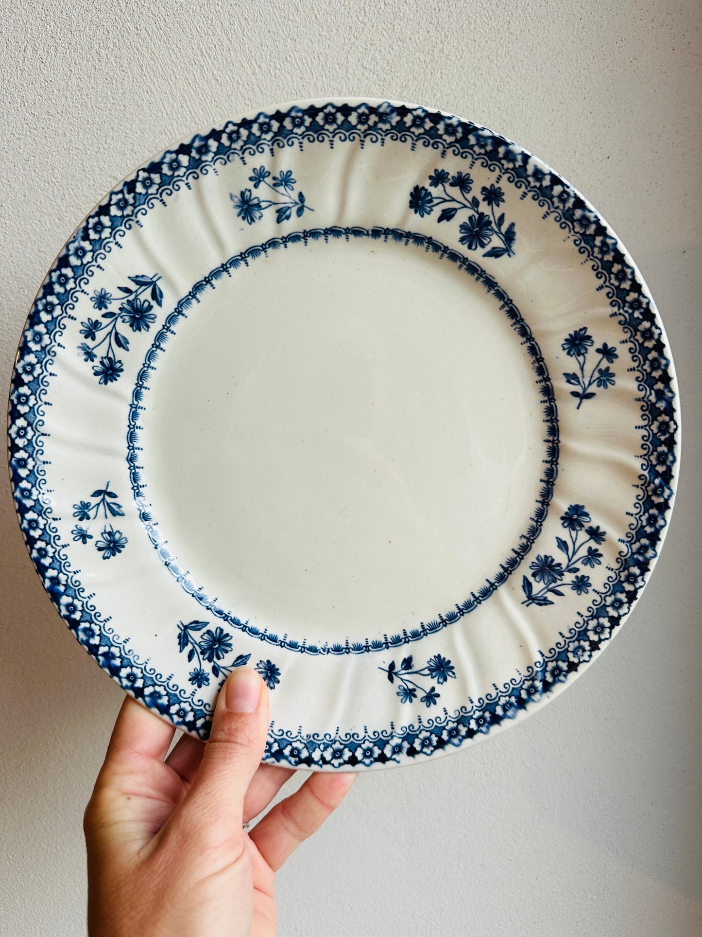11 Assiettes plate terre de fer De Raymonde à Zoé