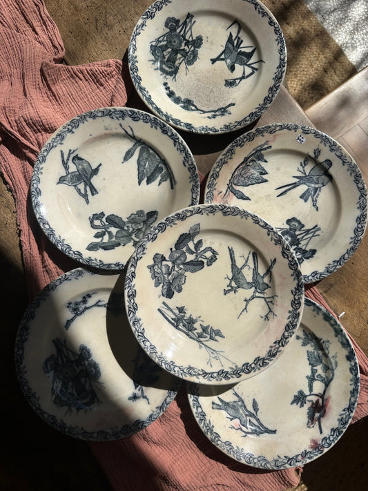 6 assiettes plates terre de fer De Raymonde à Zoé