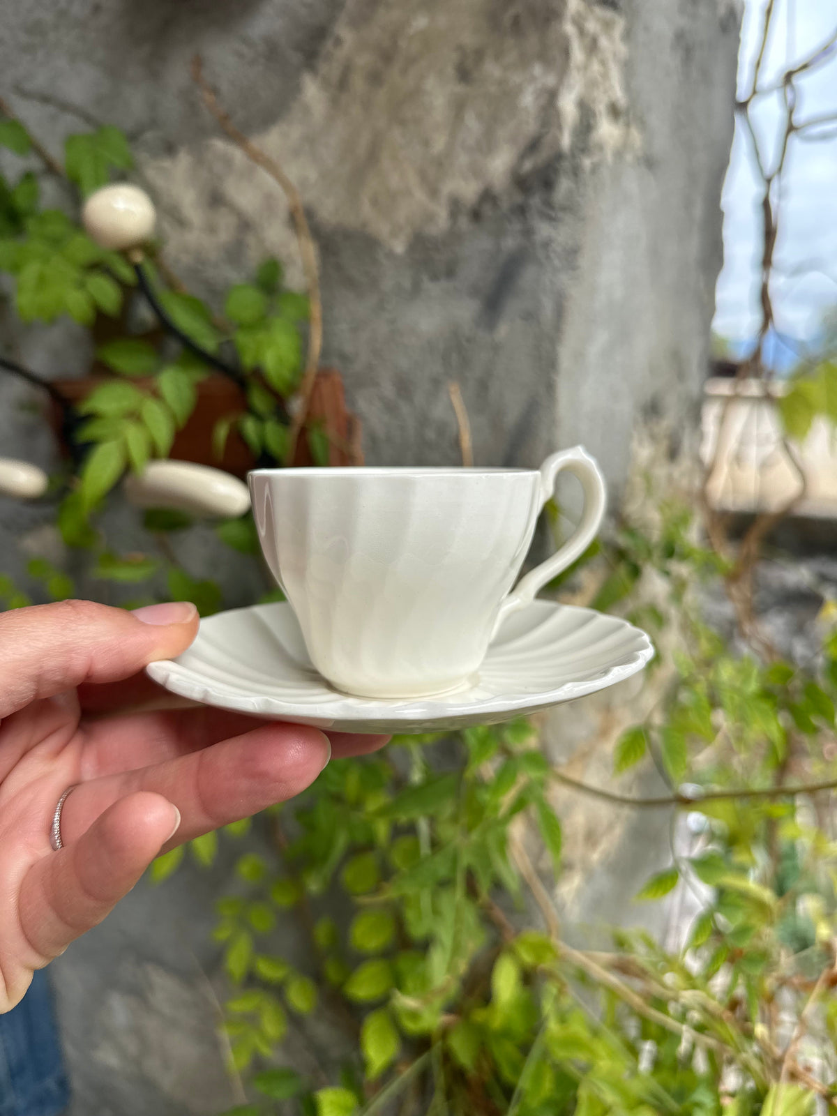 Ensemble de 8 tasses et 8 soucoupes assorties Myott De Raymonde à Zoé