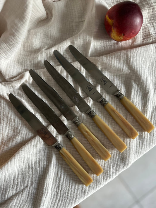 Ensemble de 6 couteaux De Raymonde à Zoé