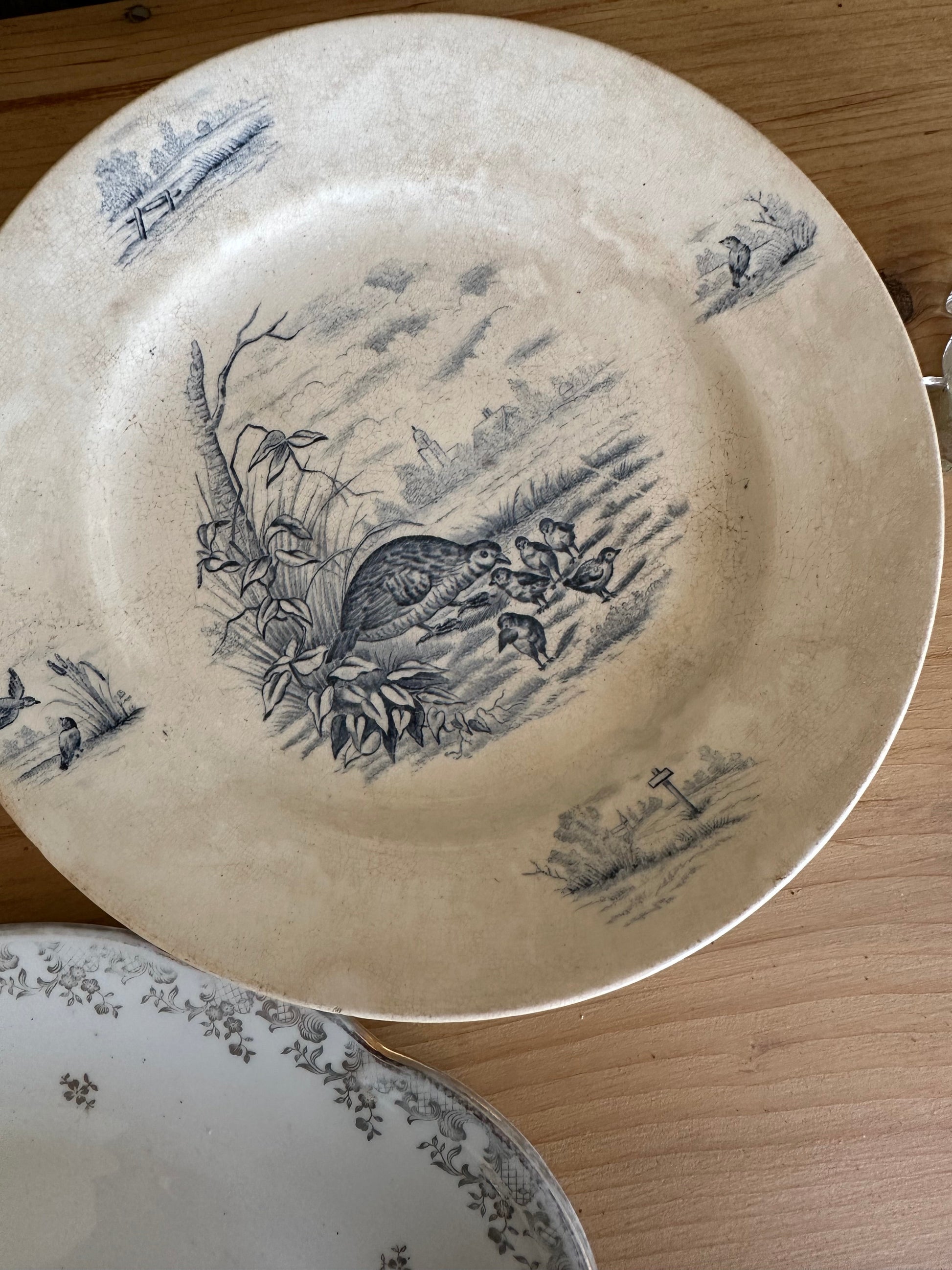 Plat pied douche en terre de fer De Raymonde à Zoé