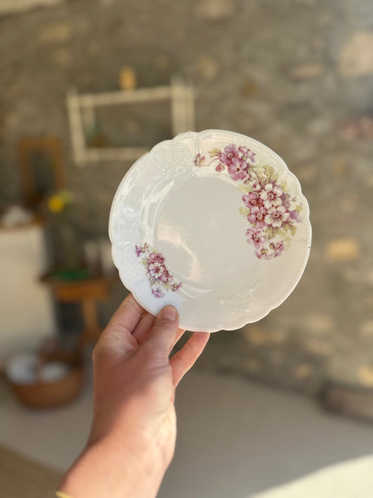 11 assiettes à dessert porcelaine De Raymonde à Zoé