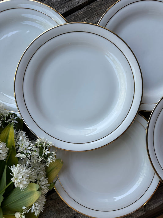 Assiettes plates blanches et dorées en porcelaine de Limoges. De Raymonde à Zoé