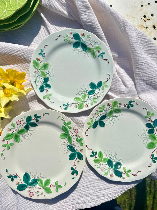 RARE! Assiettes et plat Creil et Montereau De Raymonde à Zoé