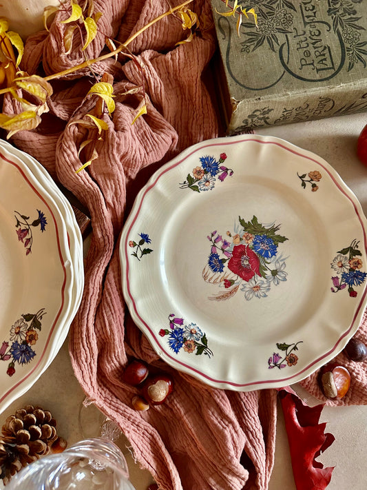 Ensemble de 7 assiettes plates Sarreguemines  (Copie) De Raymonde à Zoé